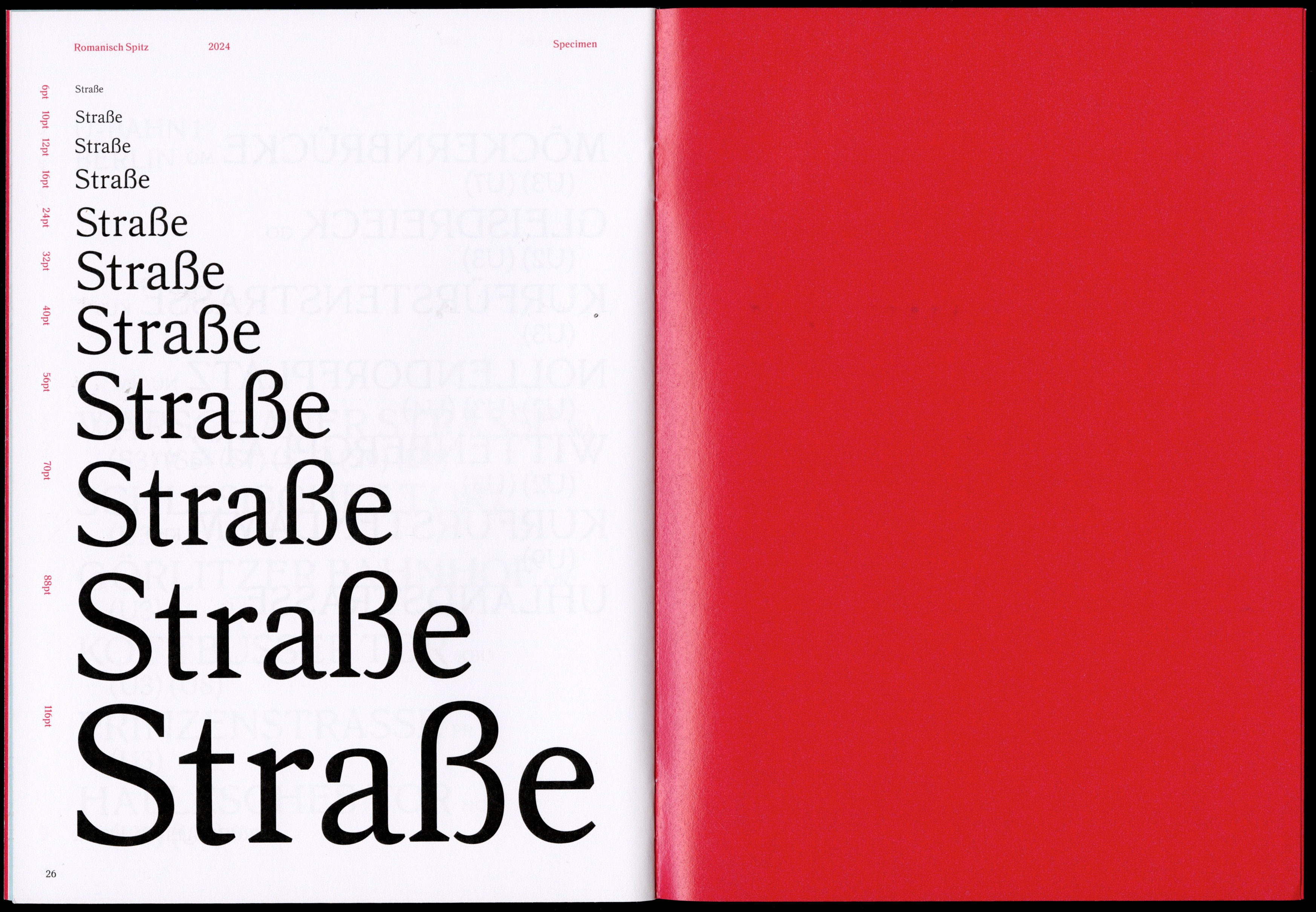 Romanisch Spitz specimen 2